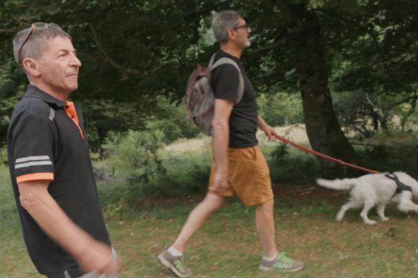 ArteParco 2025 - Passeggiata