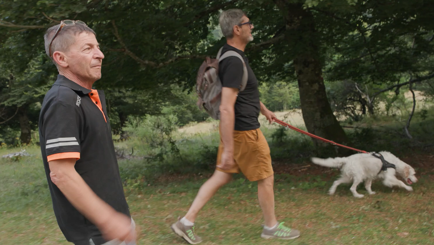 ArteParco 2025 - Passeggiata