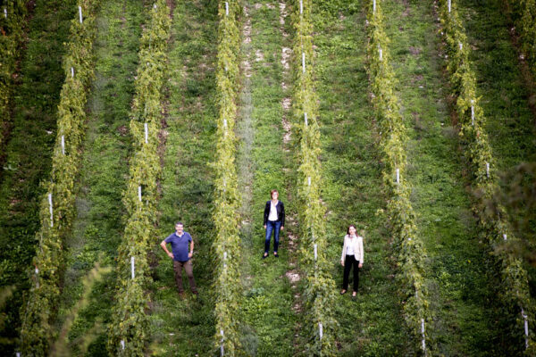 Dinastia dell'Amarone